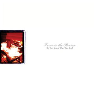 婷婷中文字幕在线观看
